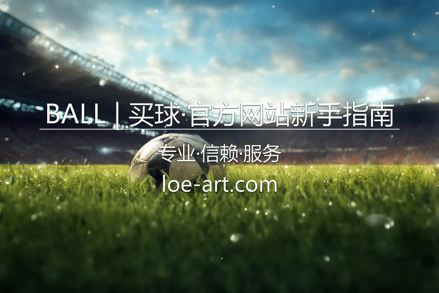 BALL买球官方网站_新手体育买球快速入门指南 英雄图